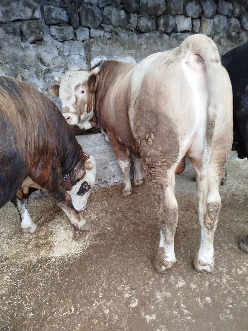 Doğal yetiştirme alanı